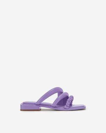 Chaussures JW PEI Jada Plates Mule Women Violette | FR1049SO