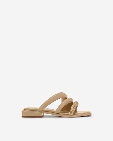 Chaussures JW PEI Jada Plates Mule Women Marron | FR1050DN